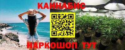 Альфа ПВП Бийск
